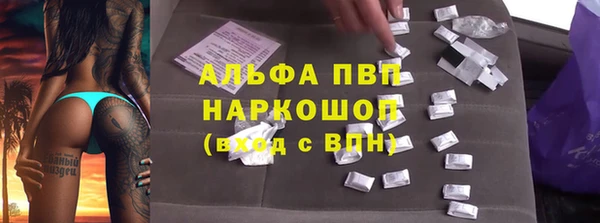эйфоретик Инта