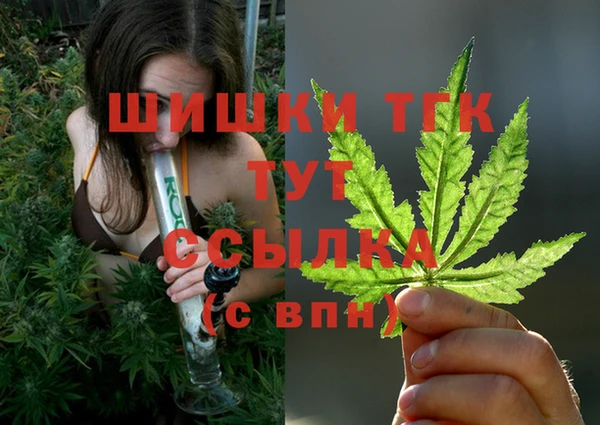 эйфоретик Инта