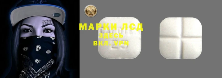 эйфоретик Инта