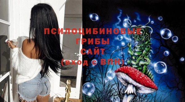 прущая мука Иннополис